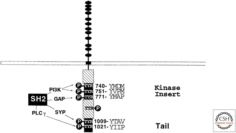 Figure 14.