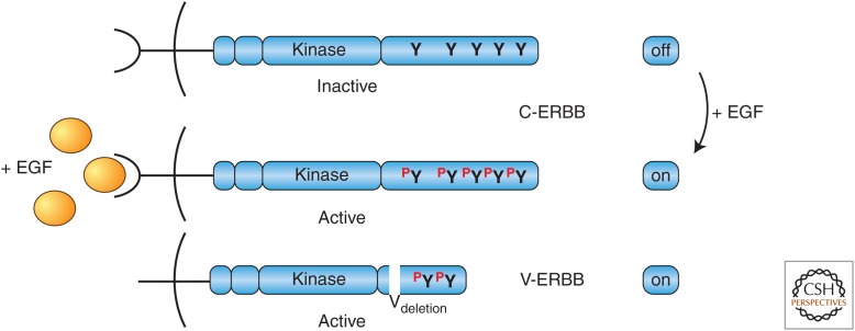 Figure 10.