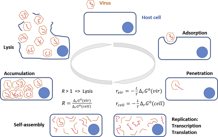 Figure 2