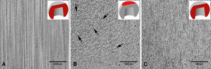 Fig. 8A–C