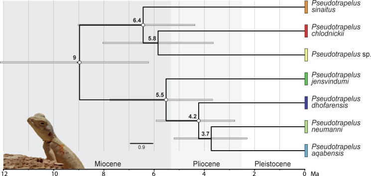 Fig. 4