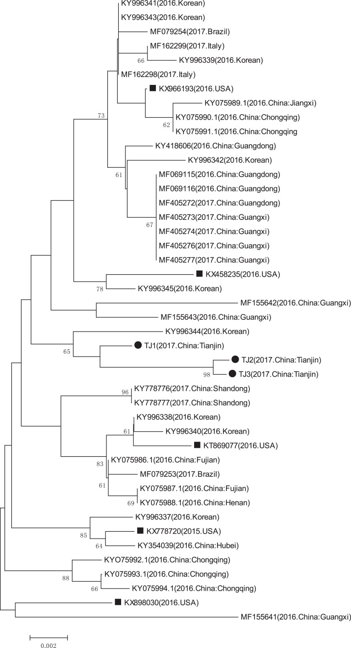 Figure 7