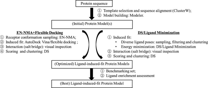 FIGURE 1