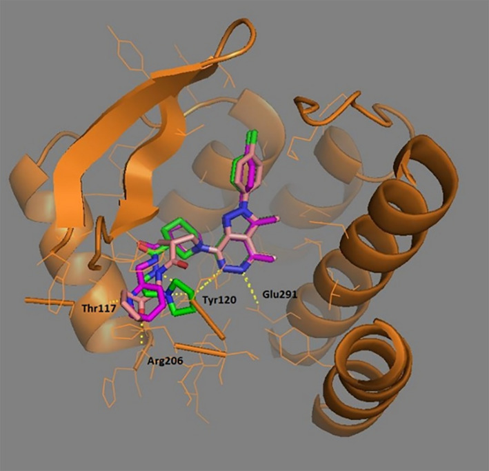 FIGURE 7