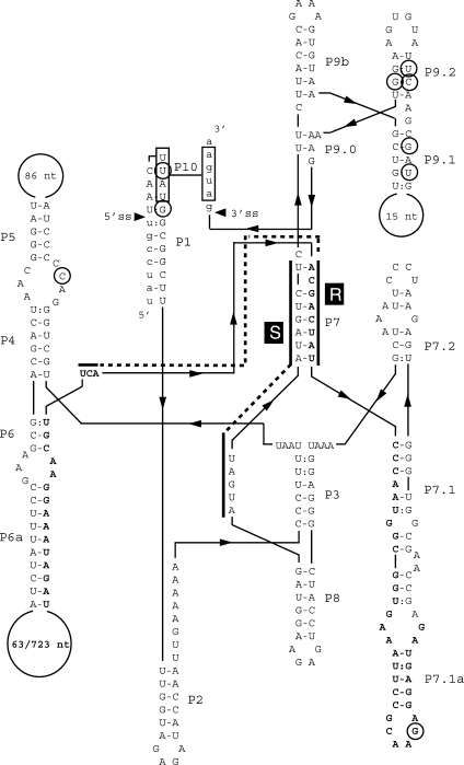 Figure 2.