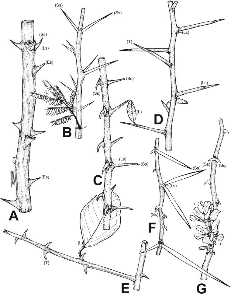 Fig. S1.