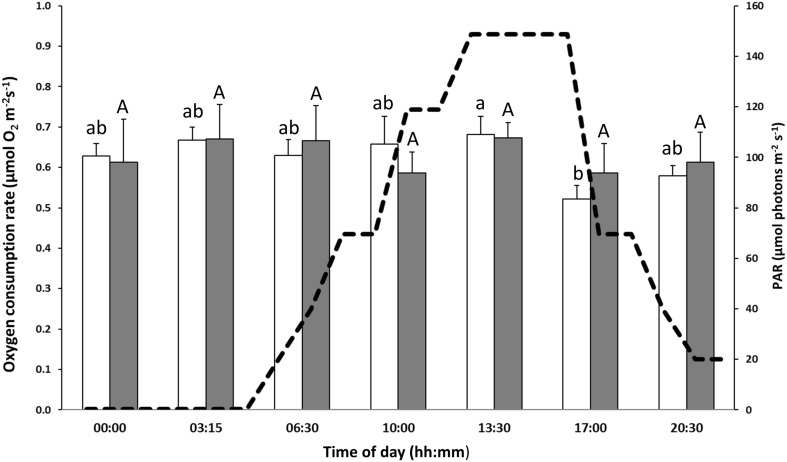 Fig. 3