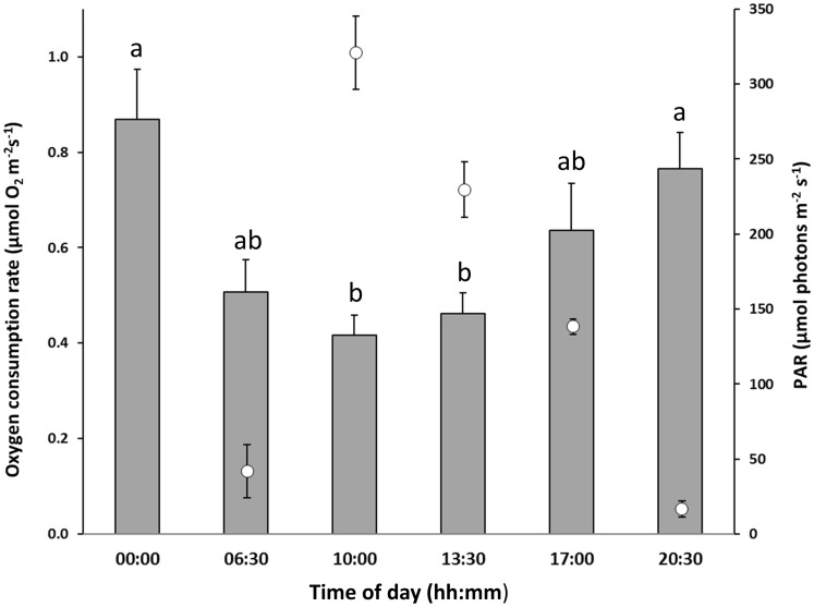 Fig. 2