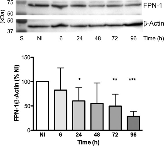 FIG 6