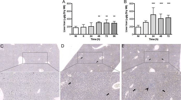 FIG 4