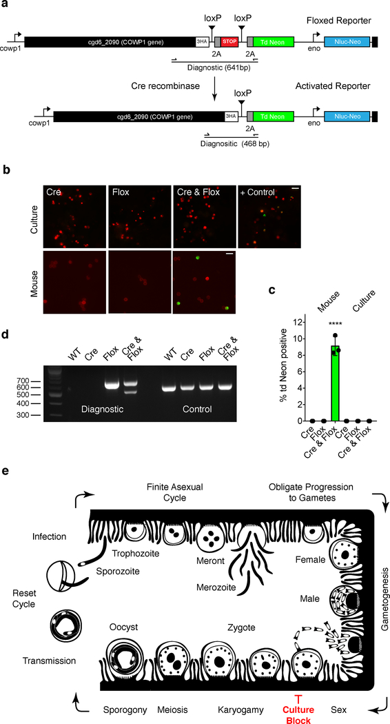 Figure 6: