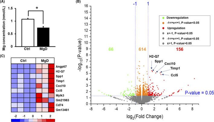 FIGURE 1