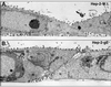 FIG. 5