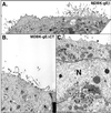 FIG. 8