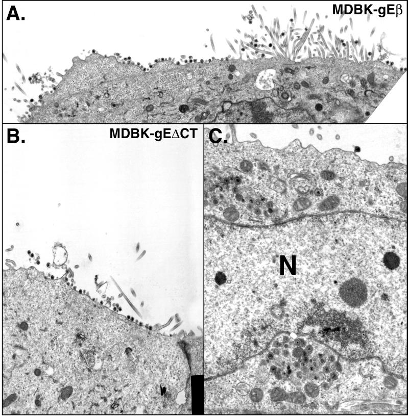 FIG. 8