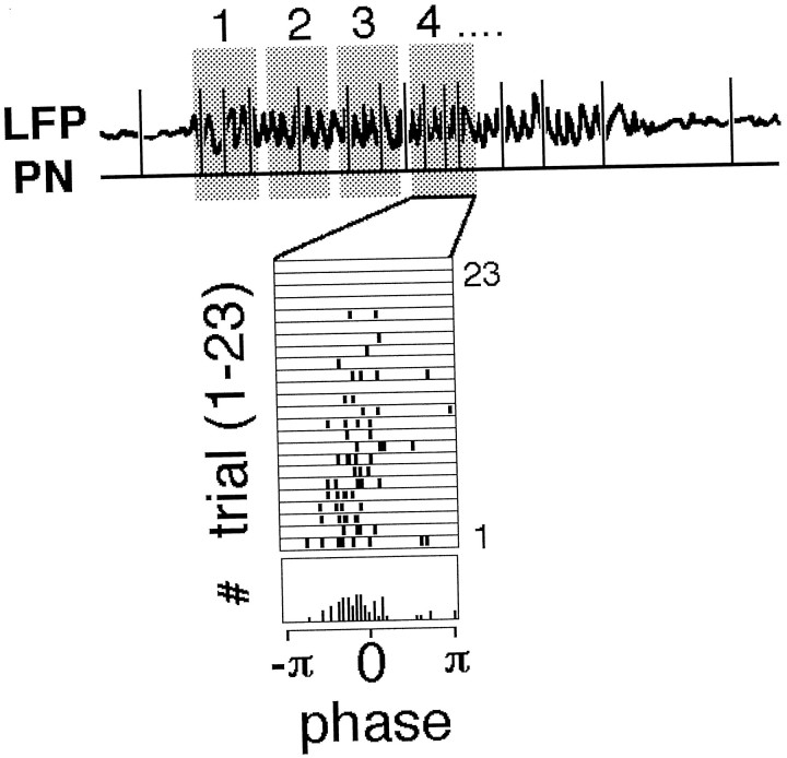 Fig. 3.