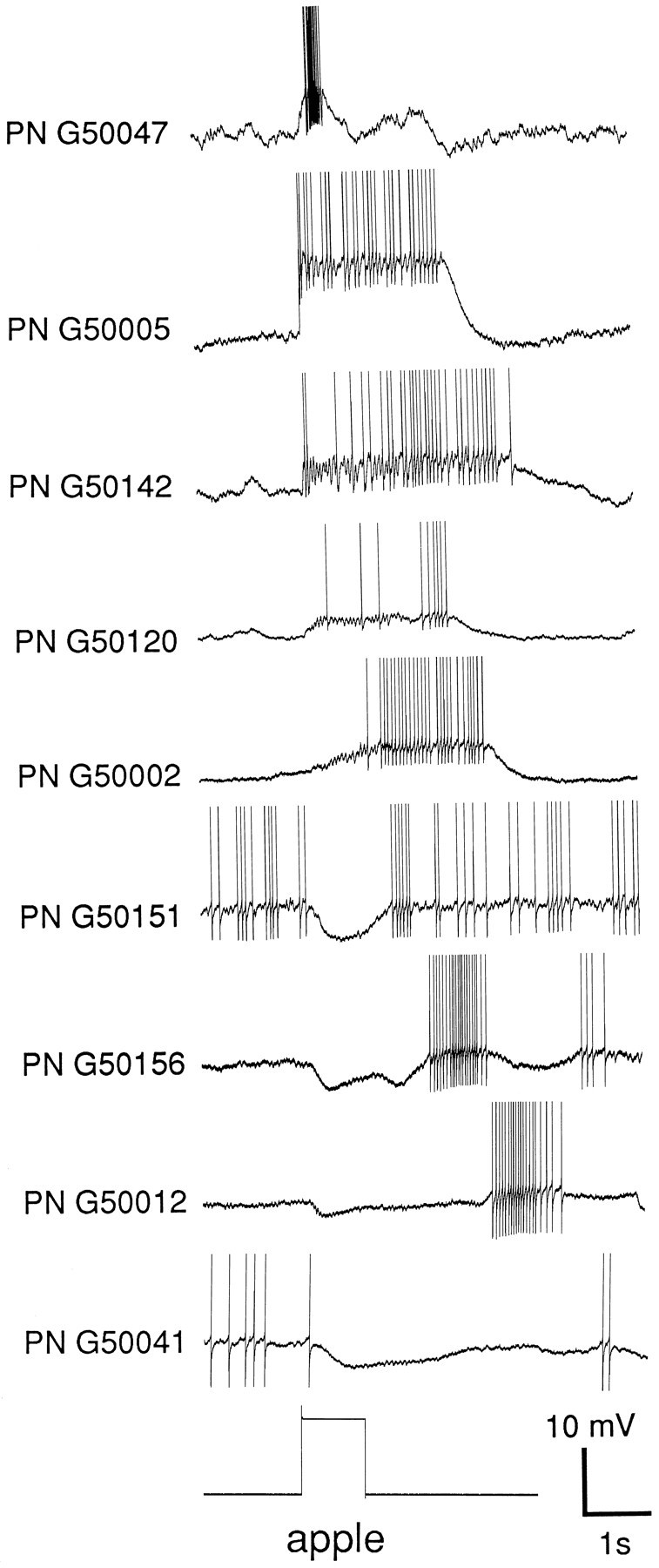 Fig. 1.