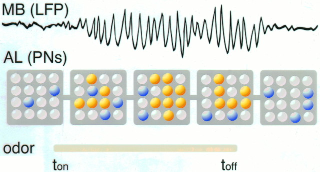 Fig. 8.