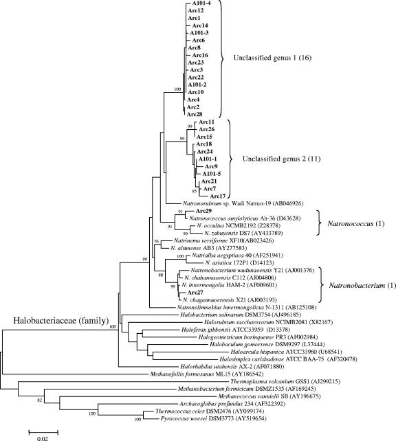 FIG. 1.