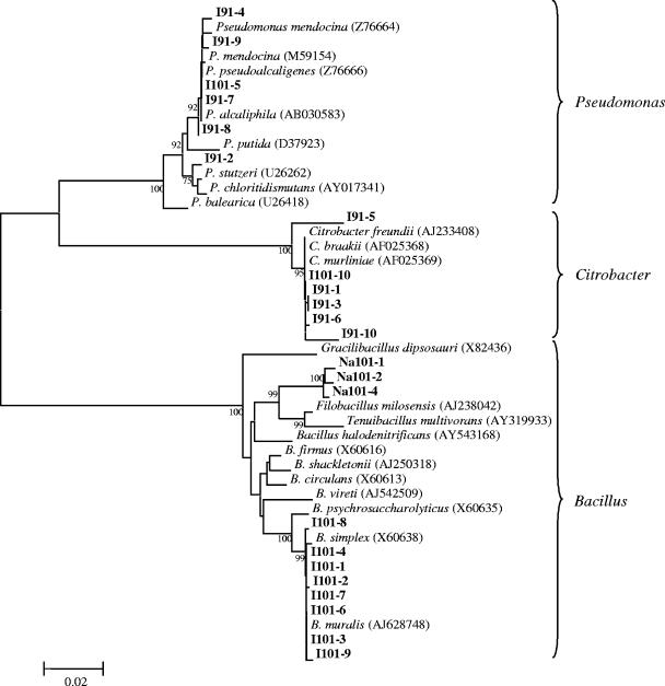 FIG. 4.