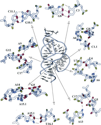 FIGURE 1.