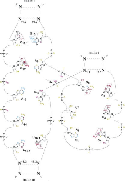 FIGURE 2.