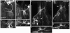 Fig. 8.