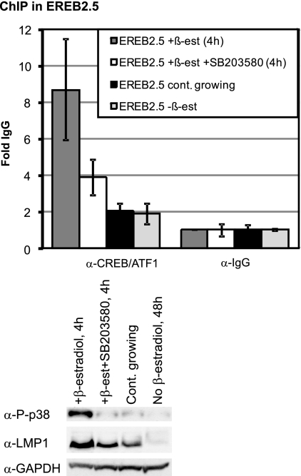 FIG. 5.