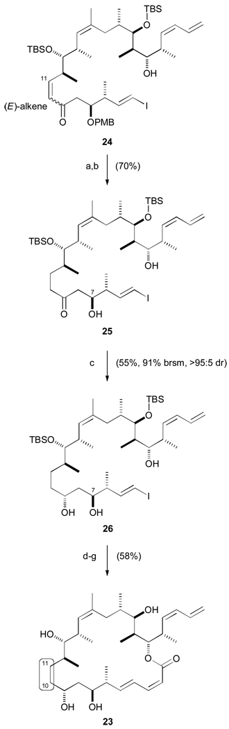 Scheme 6