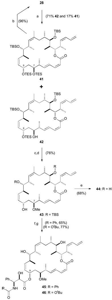 Scheme 9