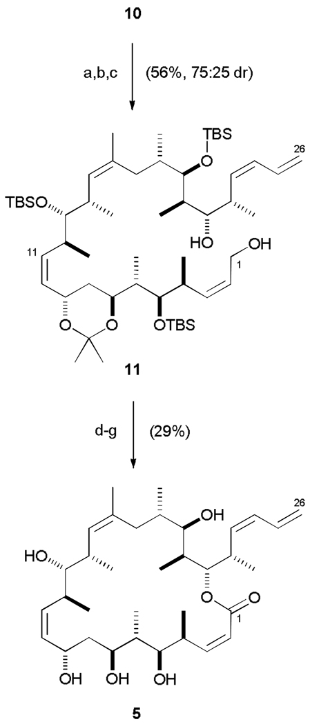 Scheme 3