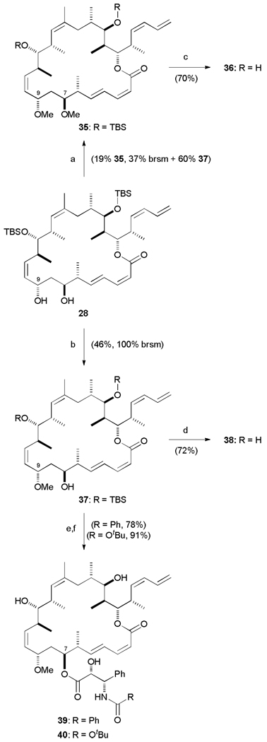 Scheme 8