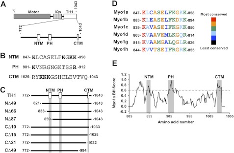 FIGURE 1.