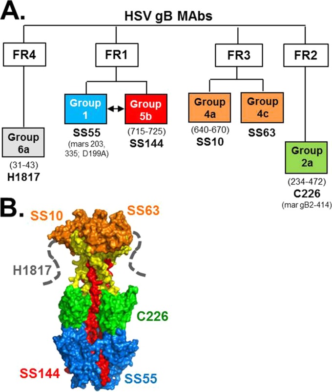 FIG 5