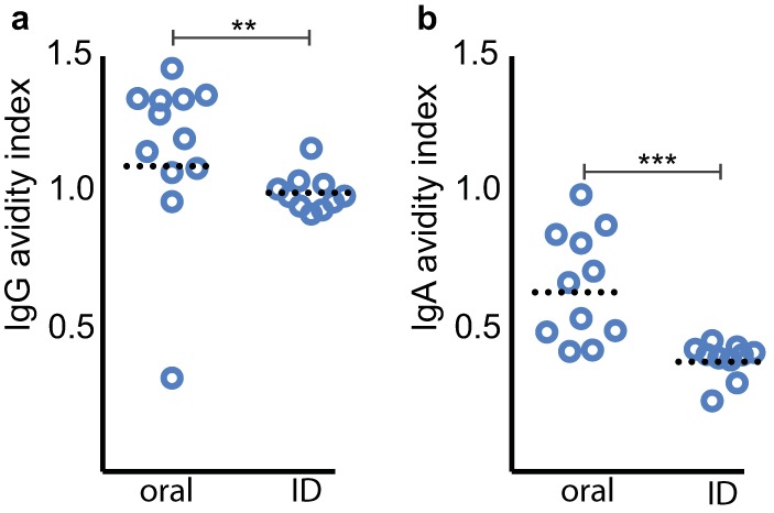 FIG 5