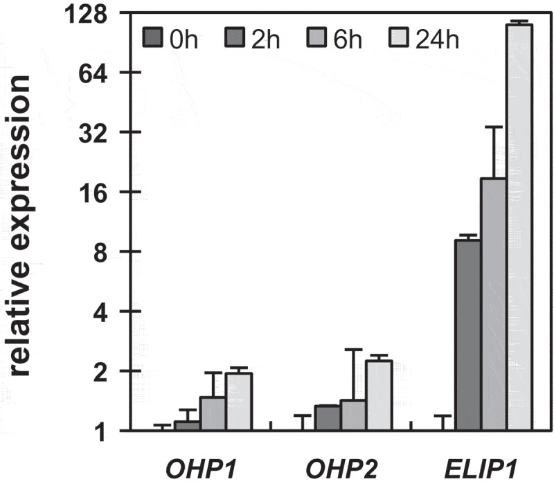 Figure 2.