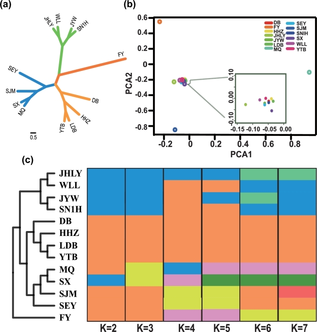 Figure 2: