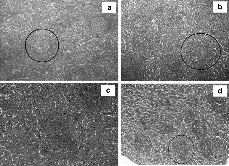 Fig. 9