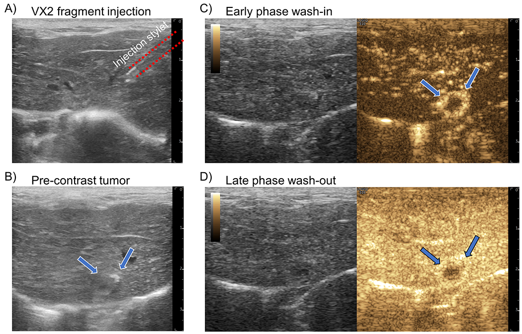 Figure 1 |