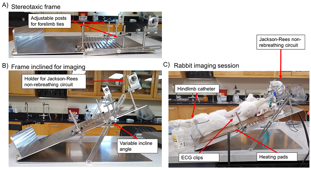 Figure 2 |