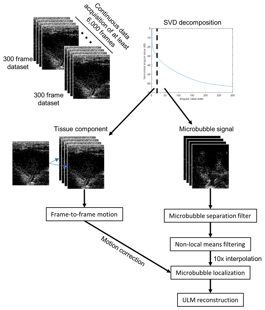 Figure 3 |