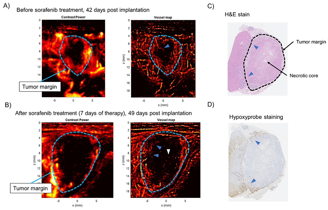 Figure 6 |