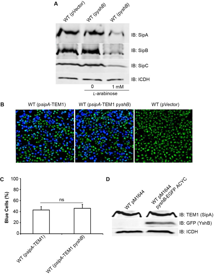 FIG 4