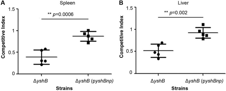 FIG 6