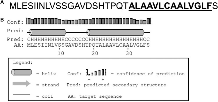 FIG 3