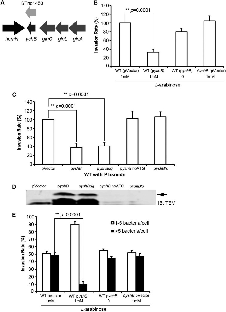 FIG 2