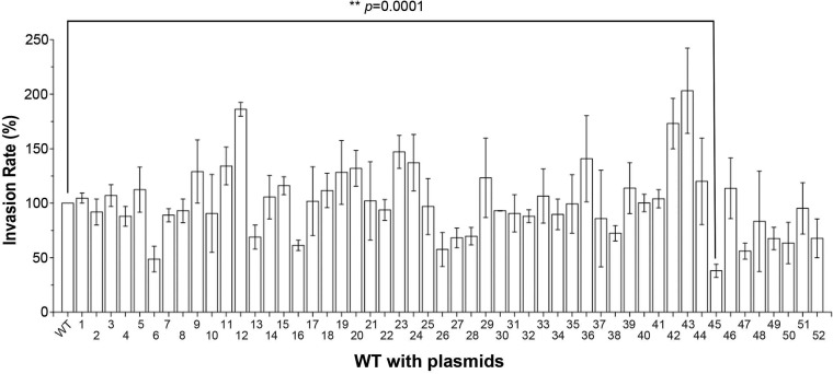 FIG 1