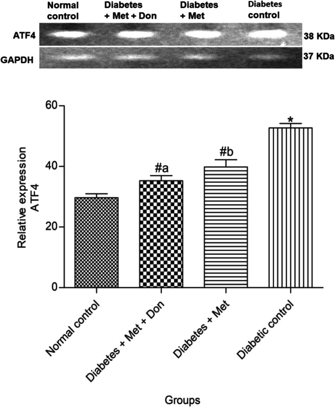 Fig. 12