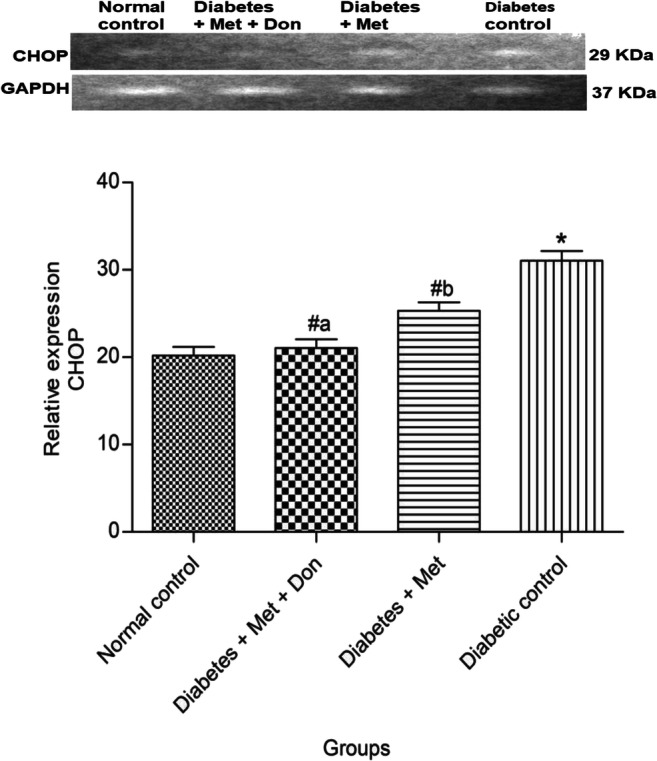 Fig. 13