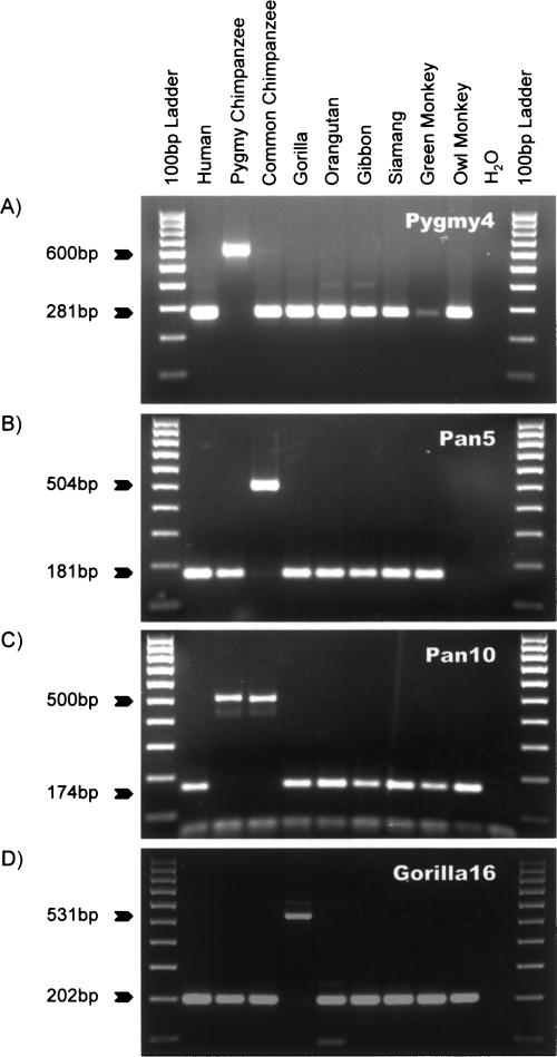 Figure 2.